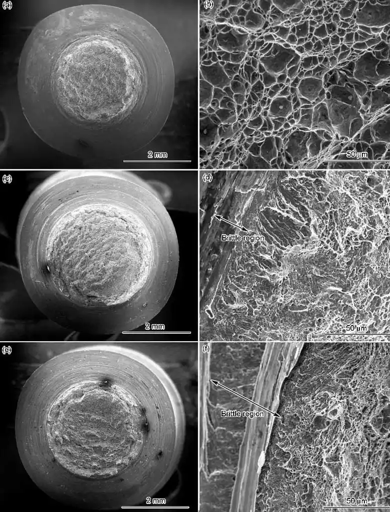 cd3490e5-5b94-44d0-8d2b-15eff14db587