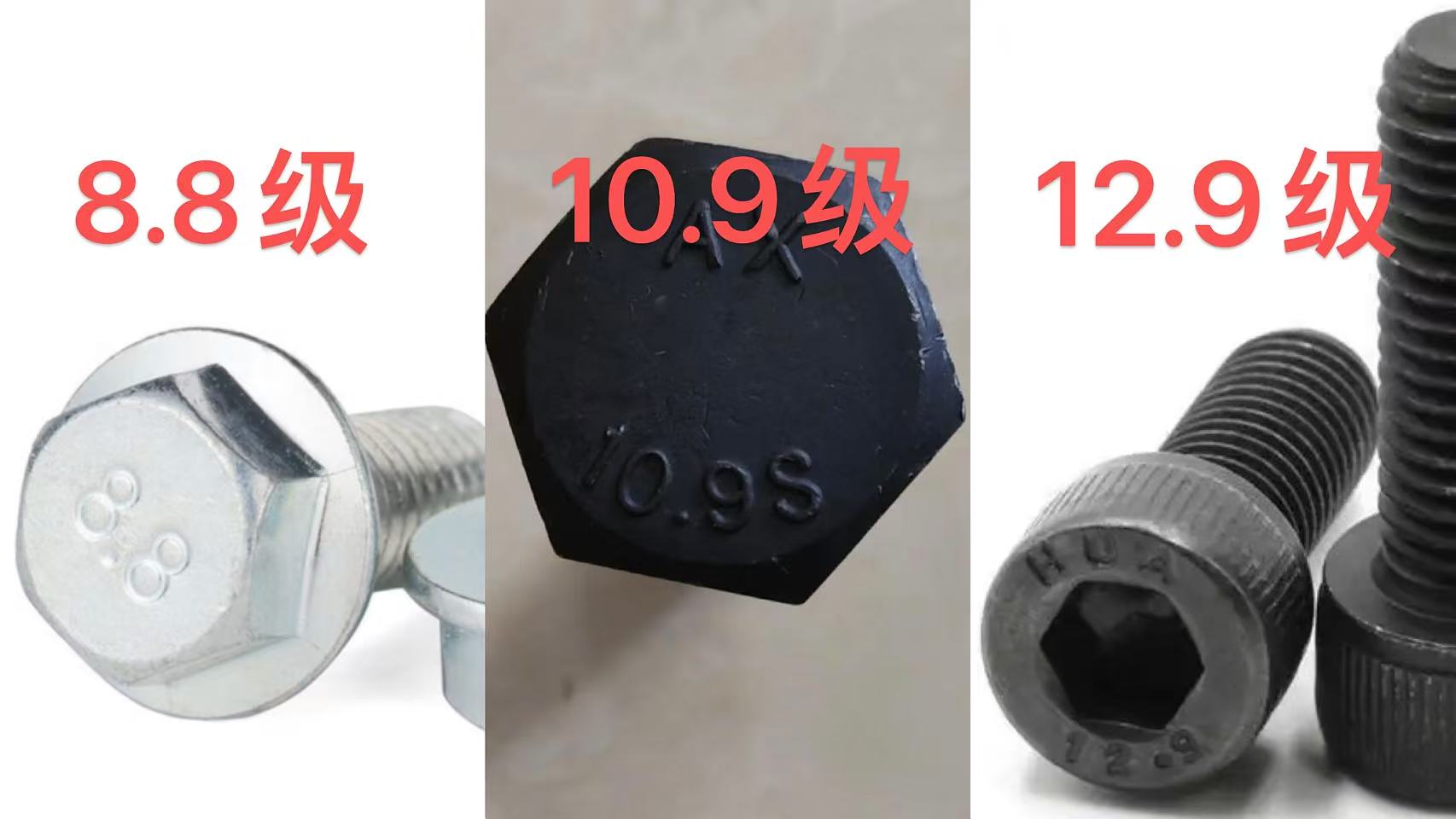 5302ed1d0b8dc2a269b1d6739c729bde